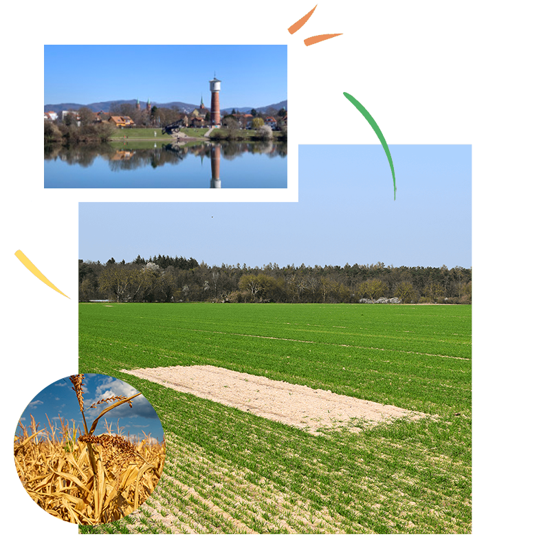 Digitale Dokumentation in der Landwirtschaft